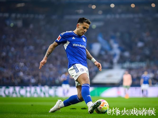 有望重返德甲,沙尔克提前一轮锁定德乙半程冠军 有望重返德甲,沙尔克提前一轮锁定德乙半程冠军